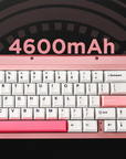 Yunzii AL66 Knob CNC Alumninum Wireless Mechanical Keyboard